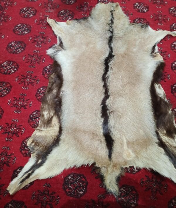 Deer Hide Skin