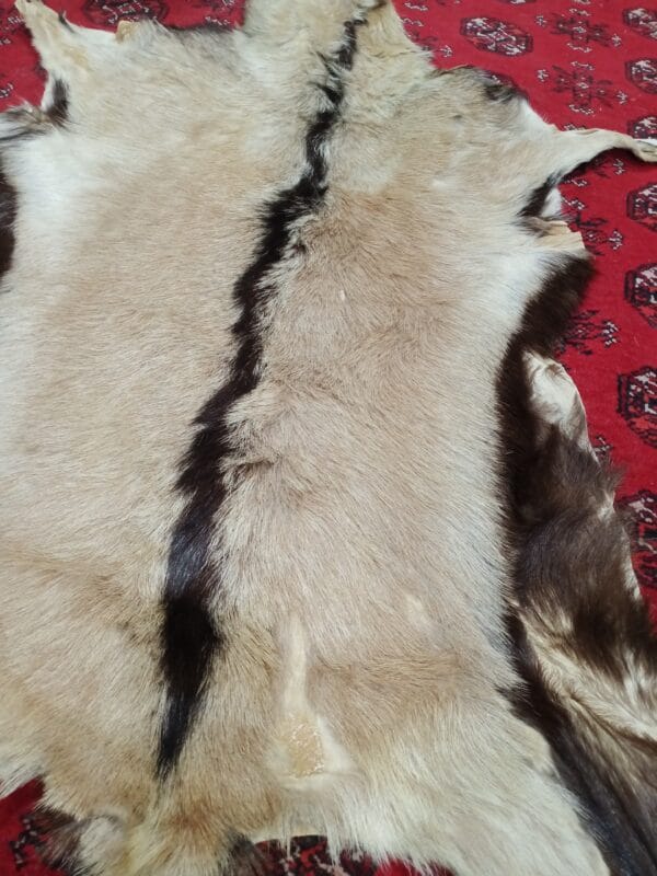 Deer Skin Hide big Size