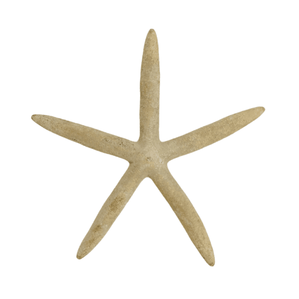 Starfish